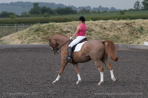 ISIS Dressage Challenge 2008